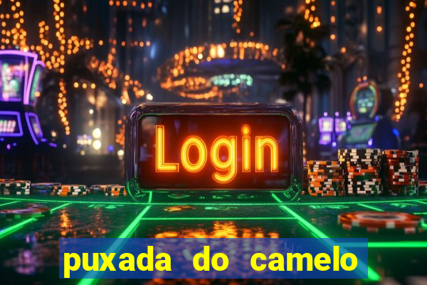 puxada do camelo no jogo do bicho